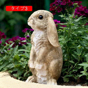 ̒u ETM u K[fjOG u GWF  YȒu 傫  u   Aj} u 킢  F u v[g 蕨 ̎G K[