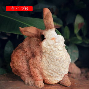 ̒u ETM u K[fjOG u GWF  YȒu 傫  u   Aj} u 킢  F u v[g 蕨 ̎G K[