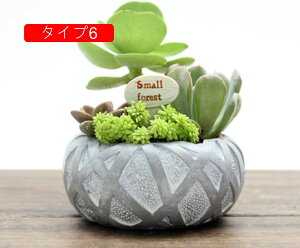 남̃IuWF K[fI[ig W ^Cv10 ϋv AeB[N g G EOpv^[ ApAؔ ̕i ~j`A IVȒu ̂Ђ