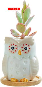 픫 Aؔ T{e 뒤̑ K[fjOu ~j  ~jAKp A v^[ 뒤̑ O F*2 ϗtA|bg I[ig ^Cv5 t[|bg 