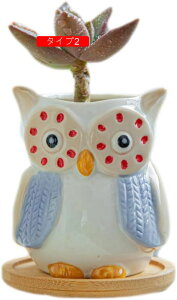 픫 Aؔ T{e 뒤̑ K[fjOu ~j  ~jAKp A v^[ 뒤̑ O F*2 ϗtA|bg I[ig ^Cv5 t[|bg 