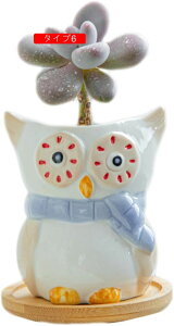 픫 Aؔ T{e 뒤̑ K[fjOu ~j  ~jAKp A v^[ 뒤̑ O F*2 ϗtA|bg I[ig ^Cv5 t[|bg 