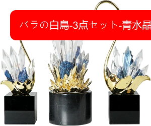  X NX^ VR  u CeA t NGCeBuȔ̃I[ig NX^[ ^up  k v[g 蕨 ItBX I rO[