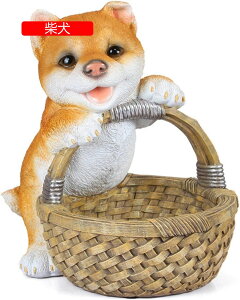 킢̃oXPbg[ u ֎[ ̑̒u CeA  킢 rvu R/LfB[ȂǏ[    G av[g Vzj