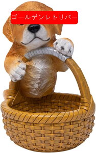 킢̃oXPbg[ u ֎[ ̑̒u CeA  킢 rvu R/LfB[ȂǏ[    G av[g Vzj