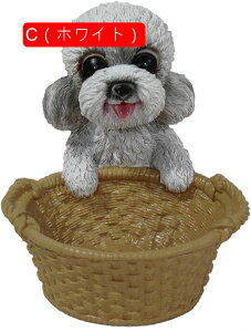 ̑̒u ֎[ [ u 킢̃oXPbg[ CeA 킢 rvu R/LfB[ȂǏ[   G av[g Vzj