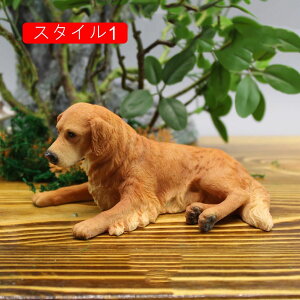 Ck  u I[ig Aj} 킢 L[z_[ X^C3 j JXj GG  ItBX ̏ v[g 蕨 Mtg G   ԓ  Iu