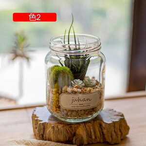 AT{ẽtFCNO[ł  ~j h R F  A CeA KXr A 񂹐A gC   lHϗtA u A[eBtBVO[