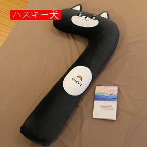 ܂ Dw ^jeB[ L^Sg NbV Iu u T|[g   傫 QԂ DP {fBs[ YQ ObY  @\  