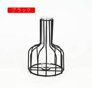 ԕr  01ubN k S[h t[x[X KX ֑}  킢 Ԋ Ԃт CeA hCt[ 24cm Ԃт  ACA   V