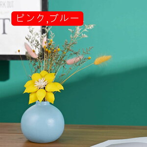 т Z~bN ֑} Ԋ k  ̌^  rO[ AW Cbh 16cm 01u[ t[x[X 퐻ԕr  ԕr _  Ԃ