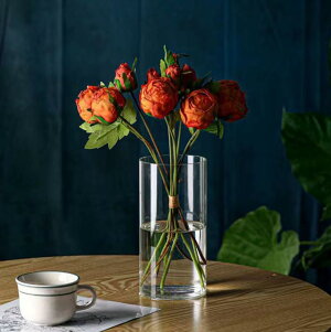 t[x[X KX ~ 傫  } hCt[ tFCNO[  15*15cm } Vv ԕr Ԋ ԗ  NA Xg[g V_[ CeA zCg G