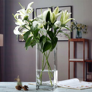 KXԕr ԕr ֑} t[x[X KX k lp  Vv _  30cm  CeA v[g   Ԃт rO Q  Ԋ j