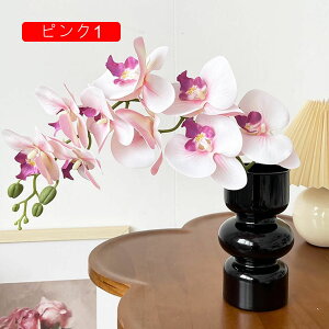 ԕȓ Zbg k Ӓ  { ̓Mtg LO  t[ sN1 뉀 Ԍ|p v[g  iX  VN ͂Ȃ sv 