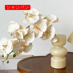 ԕȓ Zbg k Ӓ  { ̓Mtg LO  t[ sN1 뉀 Ԍ|p v[g  iX  VN ͂Ȃ sv 