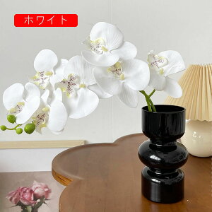 ԕȓ Zbg k Ӓ  { ̓Mtg LO  t[ sN1 뉀 Ԍ|p v[g  iX  VN ͂Ȃ sv 