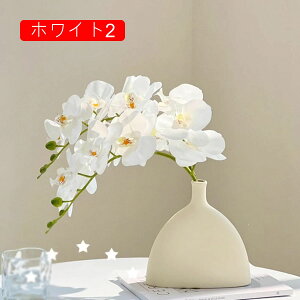 ͂Ȃ ԕȓ { Ӓ  LO ̓Mtg  sv  t[ 뉀 Ԍ|p v[g  iX ԑ VN  zCg O