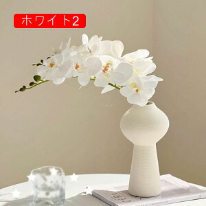 ԕȓ Ӓ { ͂Ȃ  LO ̓Mtg  sv  t[ 뉀 Ԍ|p v[g  iX ԑ VN  zCg O