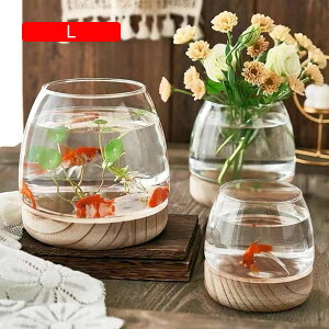 ԕr  KX ؐ k ԑ hCt[  ֑} ͔|  KXe Ԋ t[x[X  u h rO H CeA r 19.5*17*a