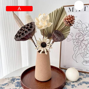 ԕȓ ͂Ȃ  Ԍ|p j v[g  ʐ^Be LO ̓ }`bN  IVW[  { u[P  k Be[W