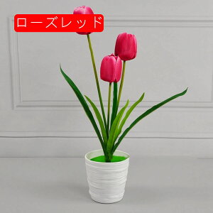 ԕȓ ͂Ȃ `[bv Ԍ|p j v[g  ʐ^Be LO ̓ }`bN  VN  { G} u[P  F p[v