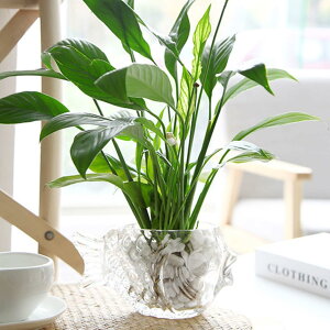  KX ɂ ԕr  KX NA  k͔|ԕr Ԋ M t[x[X KXx[X KX{g KX Ԃт ͔| k CeA  킢 