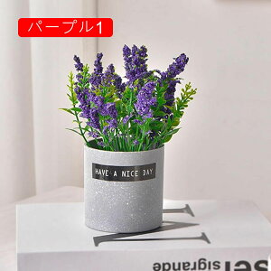 ԕȓ { ͂Ȃ  iX Ԍ|p j v[g ʐ^Be LO ̓ }`bN  VN  u[P  sv  ԕrt