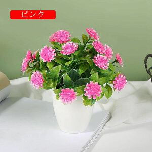 18  ԕȓ lHϗtA { ͂Ȃ sv  G} iX  Lb` ItBX p ̓Mtg IVW[ p[v DIY k