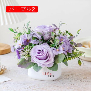 ԕrt  ͂Ȃ VNt[ { sv  k c CeA iX  p Ԍ|p JXj Bep G} A