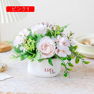 ԕrt  ͂Ȃ VNt[ { sv  k c CeA iX  p Ԍ|p JXj Bep G} A