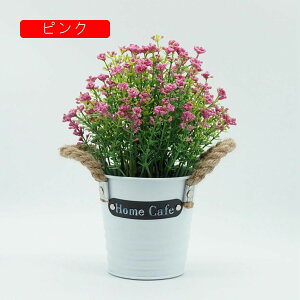 ԕȓ IVW[ INS   sv  { lHϗtA  Lb` ItBX iX p G} ͂Ȃ A[gt[ sN ԕrt