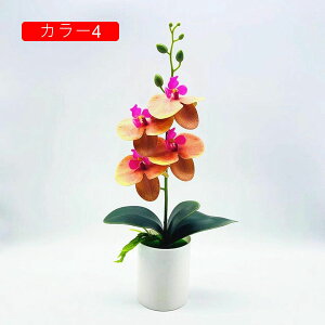 IVW[ Ӓ ԕȓ lHϗtA sv  { CeA Lb` ItBX 뉀  iX ̓Mtg  ԕrt G} ͂Ȃ k