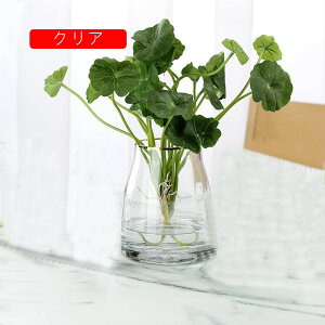 ԕr KX   t[x[X ֑} ͔|  k CeA G z[ rO Q ItBX KXԕr _ Ԋ a }  m Xg ze