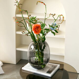 ֑} ԕr  Ԃт KX 19.5cm {g  CeAG Vv _ k т ~jԊ  } aԕr KX{g t[x[X KX NA 