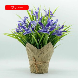 ԕrt IVW[ ͂Ȃ  {   Ԍ|p  ʐ^Be j iX a p INS v[g sv  ~ju[P CG[ V