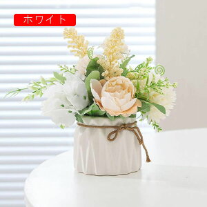 k IVW[ ԕrt  CeA INS AWTC  iX ʐ^Be a p v[g lHϗtA ԕrt  ~ju[P { sv 