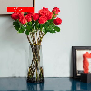 ԕr KX k IV Ԋ Ɏq a }  CeA a mp  rO t[x[X KXԕr  _ Ɏqԕr  t[AWg Ԃт NA