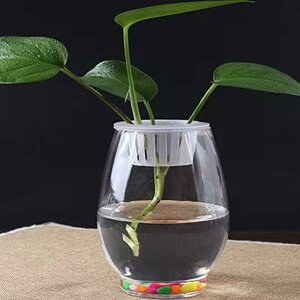 ԕr ɎqԊ KXԕr  t[x[X ֑} k͔|Ԋ ͔| NA ֑} CeA zj v[g k  ԕr ͔|  ԕr It