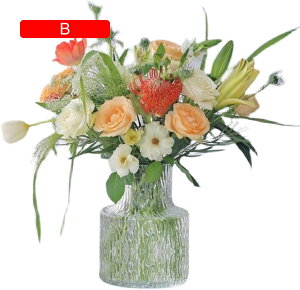 ԕr KX Vv 傫 Ɏqr k  Ԋ t[x[X [sAX^C  KX ֑} KX{g AW CeA ͔|    