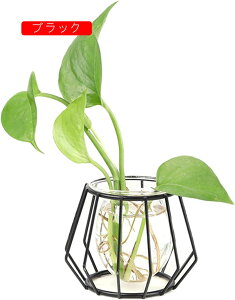 k͔|ԕr ~jԊ 􉽃fUC g KXԕr eEe  A|bg  Vv ֑} k͔| A CeA Vase k v[g (S[h