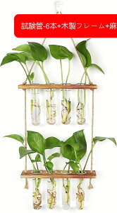 ԕr ֑} 6{ Ǌ| KX t[x[X ǃKXԕr k͔| t[x[X ؐt[ ~jԊ KXԕr  CeAG Ə (-6{+ؐt