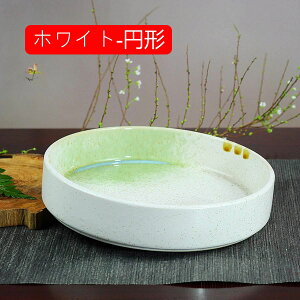  Ԋ ԕr ԗp̉Ԋ t[x[X - t[AWg Ԋ 21CM  ԗpԊ ԓ ΂ȓ ؓpԊ WplXN (ubN-~`)