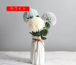 ԕr Ԋ t[x[X ֑} Vv CeA  k_  􉽊w ܂莆Ԃт A~ fR   hCt[ r ؂₩Abv {