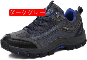 gbLOV[Y Y fB[X h 27cm 傫TCY h oRC ʋC ϖ NbV y AEghA nCLO R  oR _[NO[