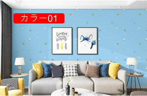 ǎ diy ͂ ǎV[ ׂ ւ NX  CNV[g SV[g Q  60cm*3m rO gC ʏ J[05 CeAV[g JbeBOV