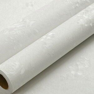 ǎ ǎV[ ͂ǎ CNV[g ǎV[g tH[V[g J[15 ǎ EH[XebJ[ JbeBOV[ ӂ܎ ǎNX h h ԕ n 