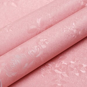 ǎ ǎV[ J[15 ׂ ͂ǎ diy K NX  CNV[g ԕ JbeBOV[g 0.6*10m SV[g k   rO Lb` gC