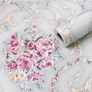 ǎV[ ǎ CNV[g ͂  JbeBOV[g J[20 ͂ǎ rj[V[ h h rO[  45cm*10m gC Q k q 