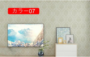 ǎ ǎV[ ׂ ͂ǎ diy K NX  CNV[g ԕ JbeBOV[g J[06 0.6*20m SV[g k   rO Lb` gC