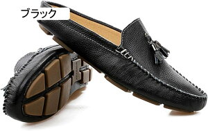 [t@[ hCrOV[Y Y Xb| y JV vC ʋC 傫TCY ₷ JWAV[Y ~ Ȃ t  l ItBX ʋ ʊw 񎟉 jq 